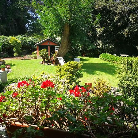 Jardines De Hortensia - Vacation Home Tenerife La Laguna  Exteriér fotografie