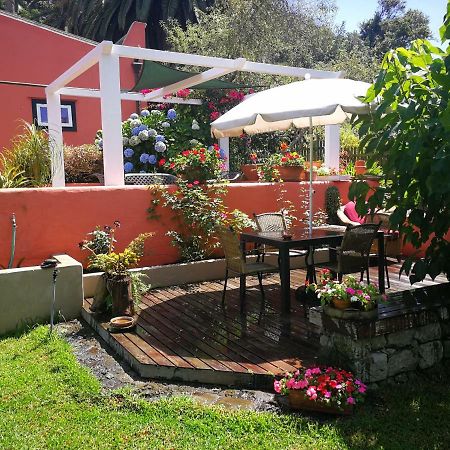 Jardines De Hortensia - Vacation Home Tenerife La Laguna  Exteriér fotografie