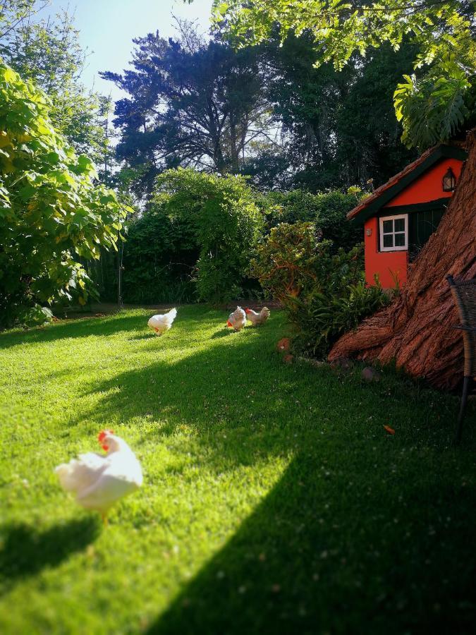 Jardines De Hortensia - Vacation Home Tenerife La Laguna  Exteriér fotografie