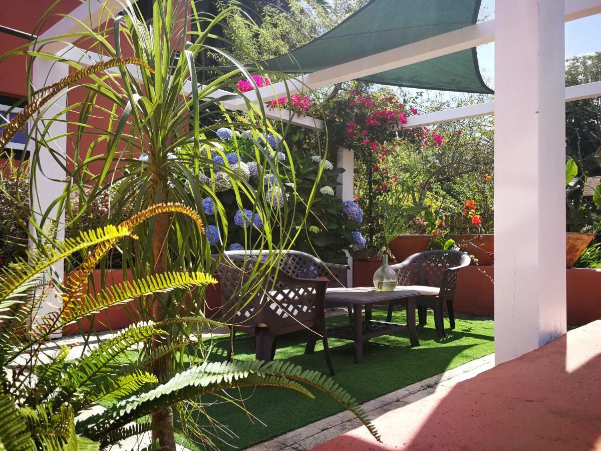 Jardines De Hortensia - Vacation Home Tenerife La Laguna  Exteriér fotografie