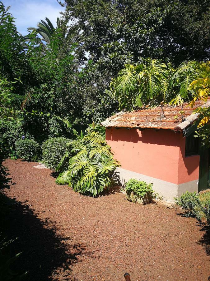 Jardines De Hortensia - Vacation Home Tenerife La Laguna  Exteriér fotografie