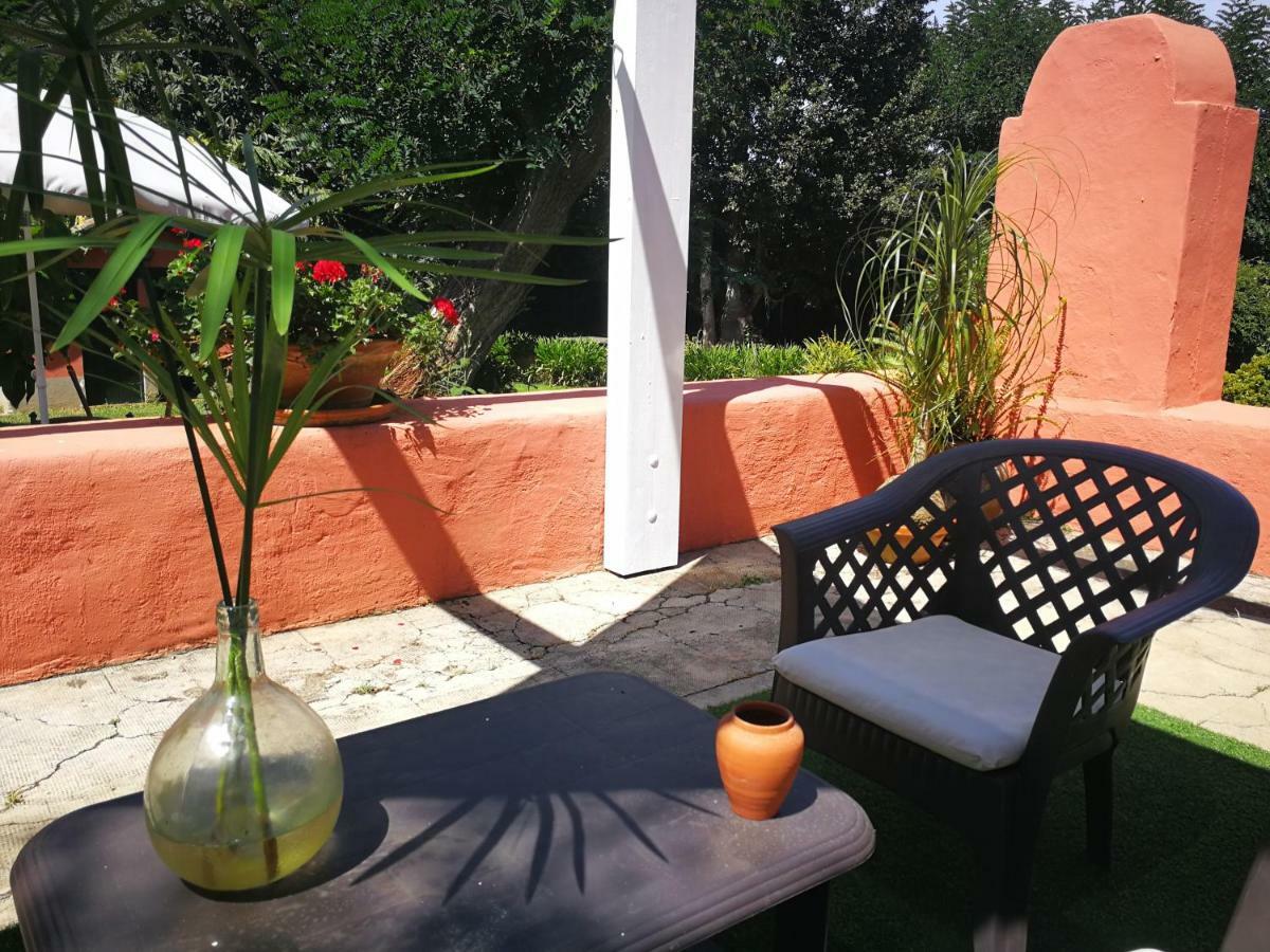 Jardines De Hortensia - Vacation Home Tenerife La Laguna  Exteriér fotografie