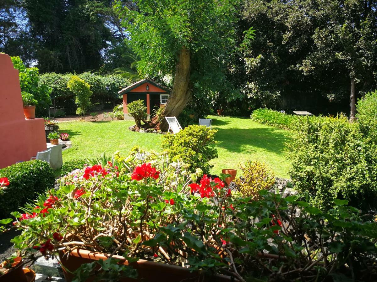 Jardines De Hortensia - Vacation Home Tenerife La Laguna  Exteriér fotografie