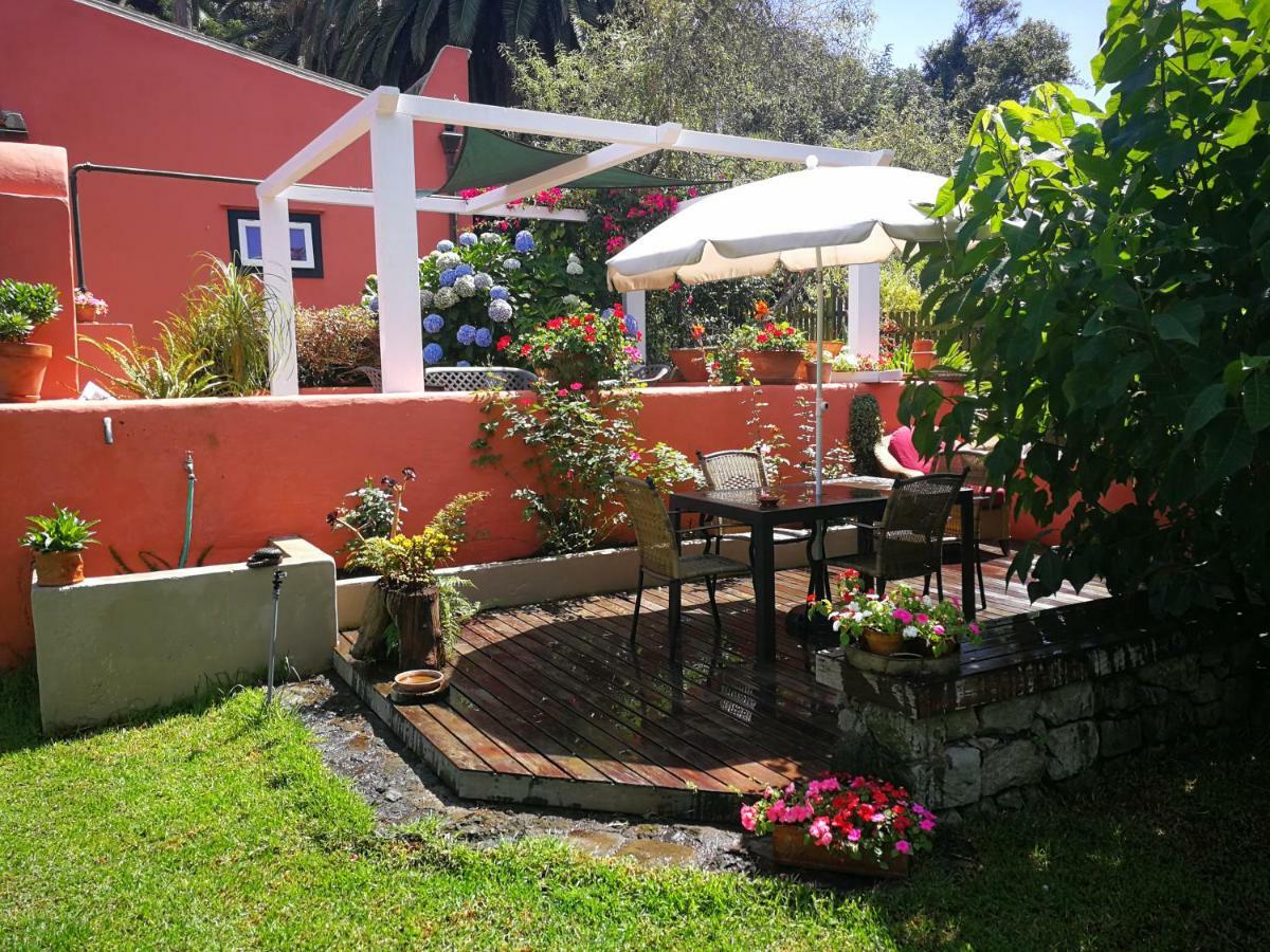 Jardines De Hortensia - Vacation Home Tenerife La Laguna  Exteriér fotografie